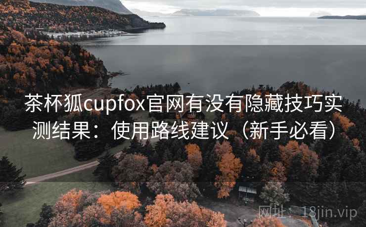 茶杯狐cupfox官网有没有隐藏技巧实测结果：使用路线建议（新手必看）