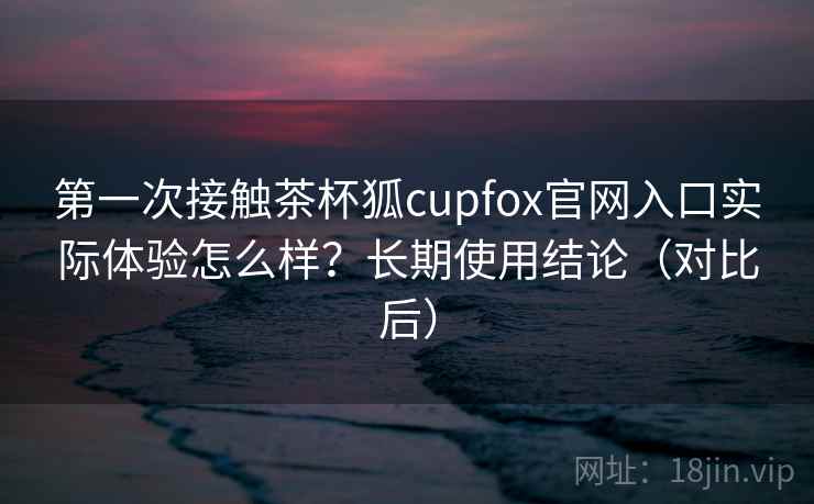 第一次接触茶杯狐cupfox官网入口实际体验怎么样？长期使用结论（对比后）