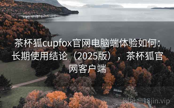 茶杯狐cupfox官网电脑端体验如何：长期使用结论（2025版），茶杯狐官网客户端