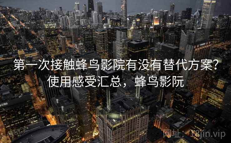 第一次接触蜂鸟影院有没有替代方案？使用感受汇总，蜂鸟影阮