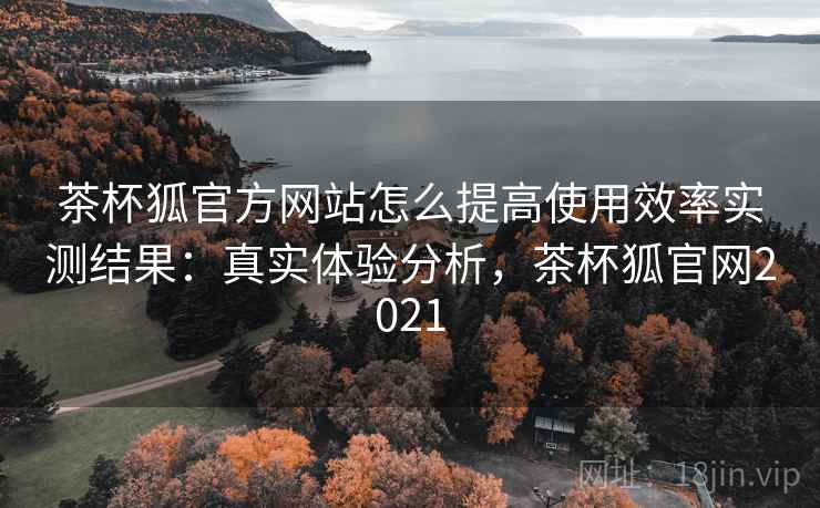 茶杯狐官方网站怎么提高使用效率实测结果：真实体验分析，茶杯狐官网2021