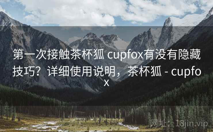 第一次接触茶杯狐 cupfox有没有隐藏技巧?详细使用说明,茶杯狐 - cupfox