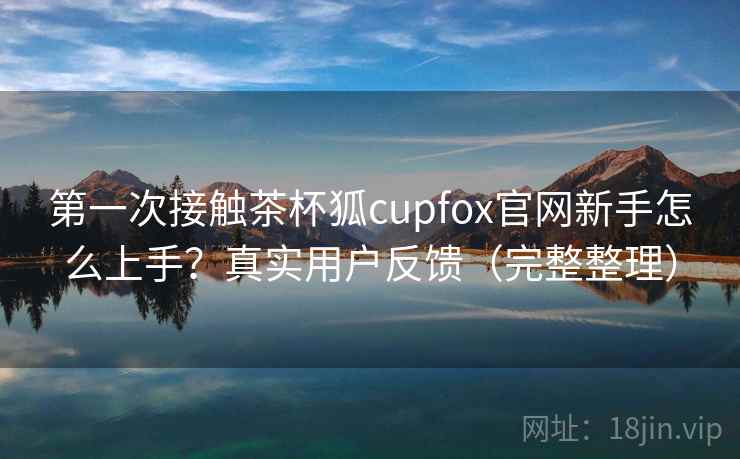 第一次接触茶杯狐cupfox官网新手怎么上手？真实用户反馈（完整整理）