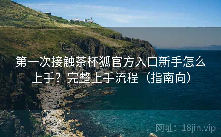 第一次接触茶杯狐官方入口新手怎么上手?完整上手流程(指南向)